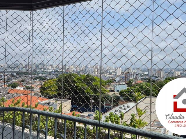 Venda em Vila Bela - São Paulo